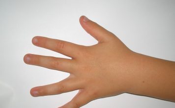 Среќен ден леваци!