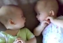 Кога близнаци ќе се размуабетат, нема крај на муабетот (ВИДЕО)